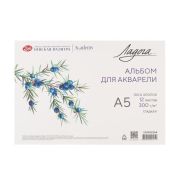 Альбом-склейка для акварели «Ладога» А5 300г 12л 100%хл, гладкая