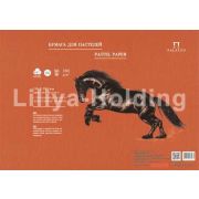 Бумага для пастели «Палаццо» 35х50 160г Terracotta терракотовый