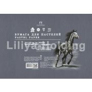 Бумага для пастели «Палаццо» 35х50 160г Pearl grey серый жемчуг