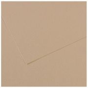 Бумага для пастели Mi-Teintes 50х65 160гр №343 Серо-бежевый