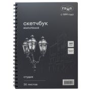 Альбом для графики Гамма «Студия» А4 140г черный на спирали 30л