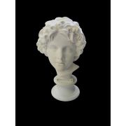 Голова мальчика (гипс) h=40см