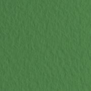 Бумага для пастели Tiziano 50х65 160г Зеленый темный